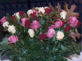 Foto_177.jpg