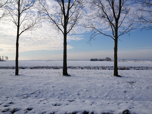 Sneeuw in Almere