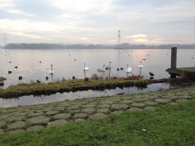 Weerwater